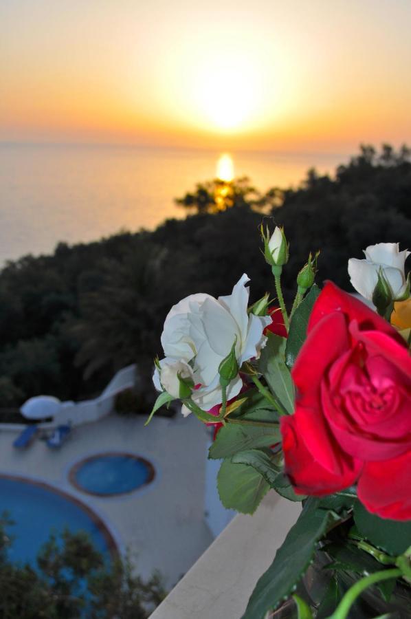 Beautiful Holiday Apartments Maria With Amazing Pool - Agios Gordios Beach Exterior foto